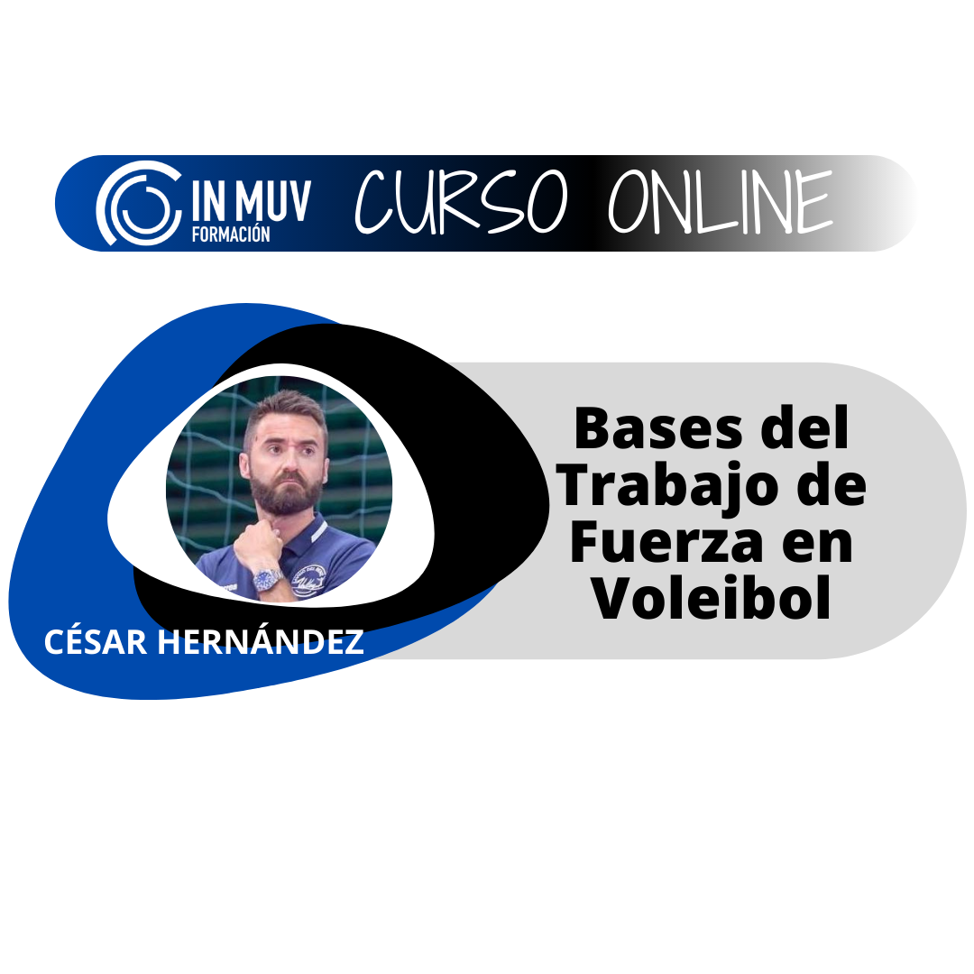 fuerza voleibol