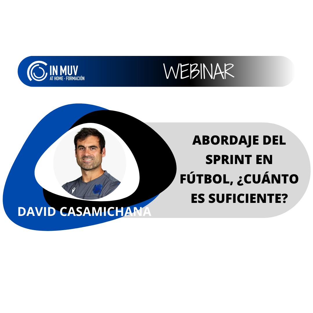 David Casamichana