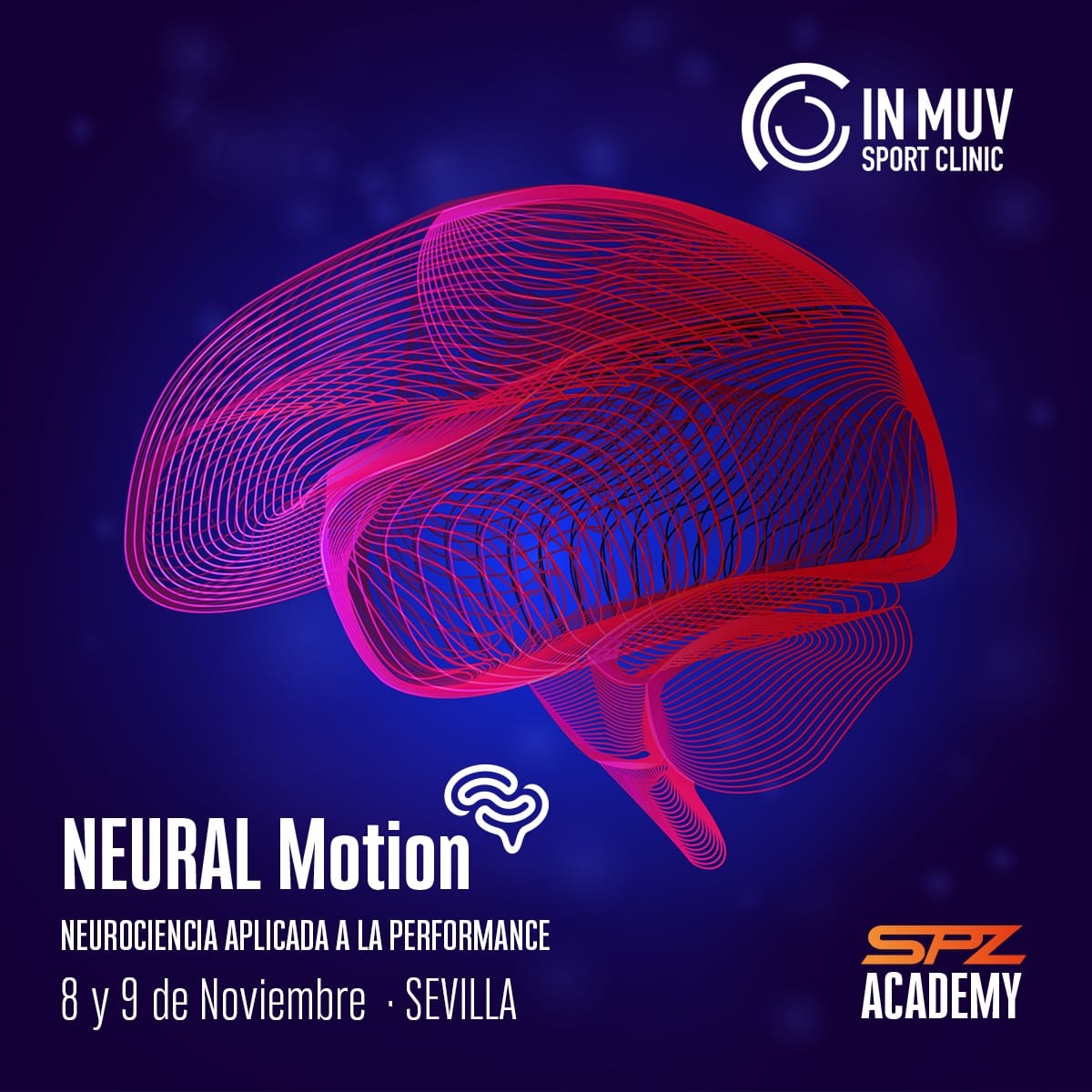Performance Noviembre 24 neural motion