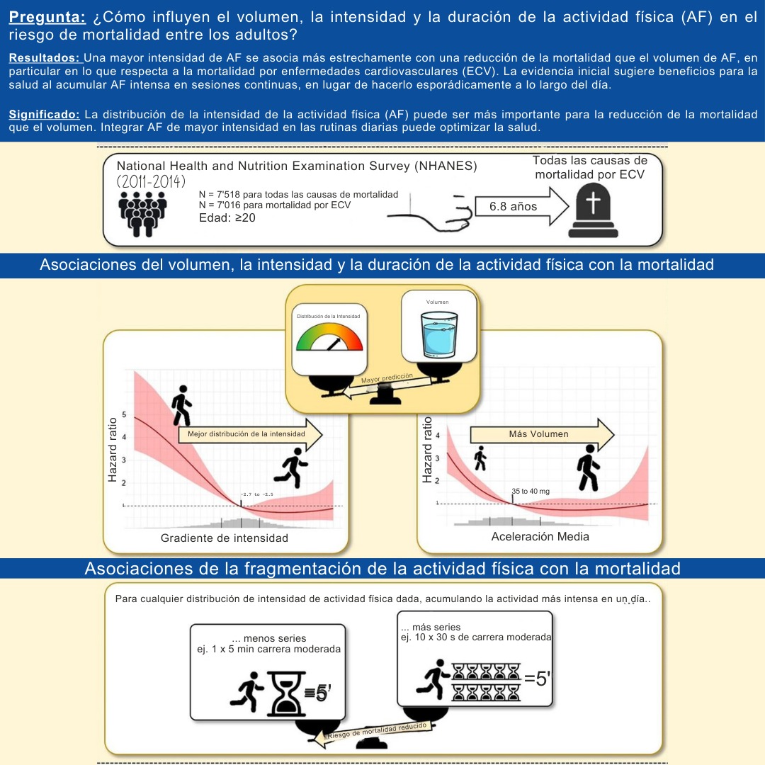 WhatsApp Image 2025-09-08 at 22.33.10